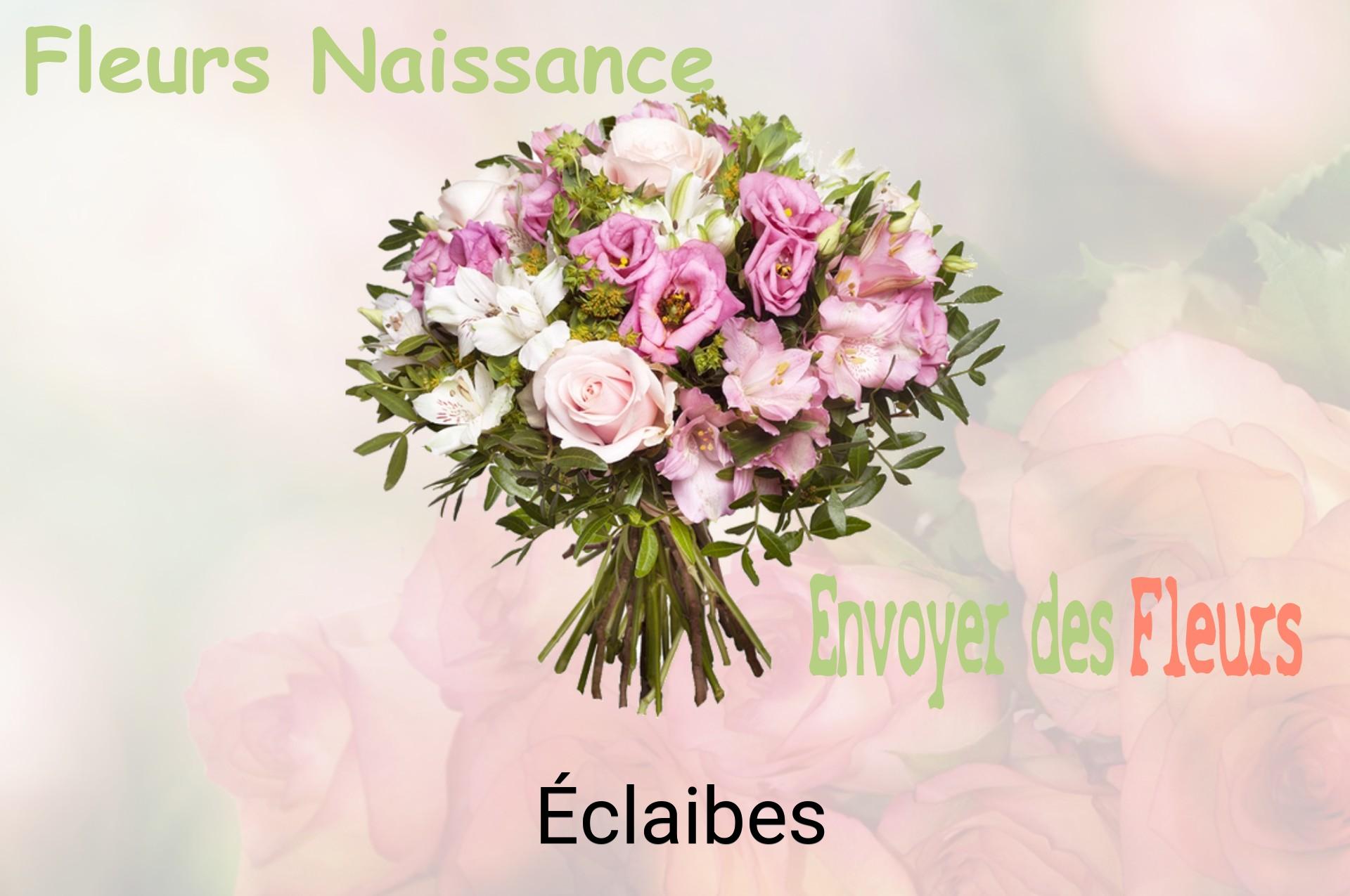 Bouquet de fleurs de naissance livré à Éclaibes